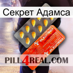 Секрет Адамса new01